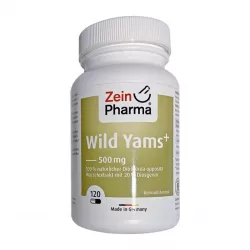 Дикий ямс плюс Комплекс (Wild Yam Complex) Диоскорея капсулы 500мг 120шт в Кемерове и области фото