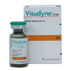 Визудин лиофилизат д/пригот р-ра д/в/в введения 15 мг №1 в Кемерове и области фото